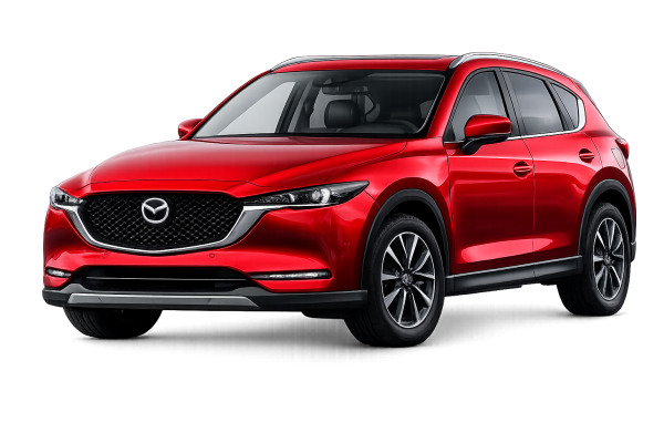 Ask Samgyei Car Rentals services